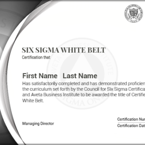 Six Sigma White Belt Certification