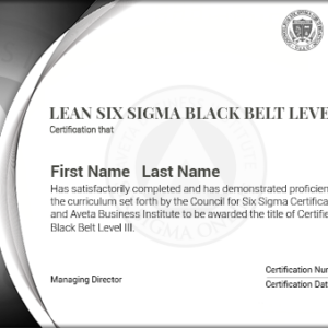 Lean Six Sigma Black Belt Level III Certification
