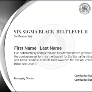 Six Sigma Black Belt Level II Certification