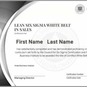 Lean Six Sigma White Belt Certification in Sales