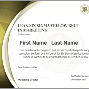 Lean Six Sigma Yellow Belt Certification in Marketing